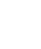 Apple icon